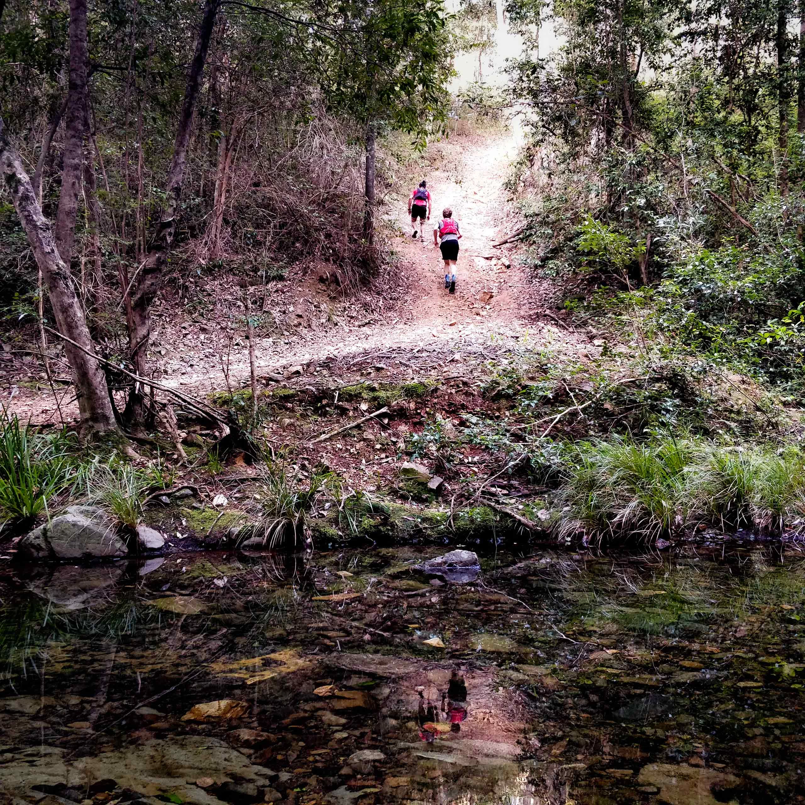 The Dry Run, 10km Medal