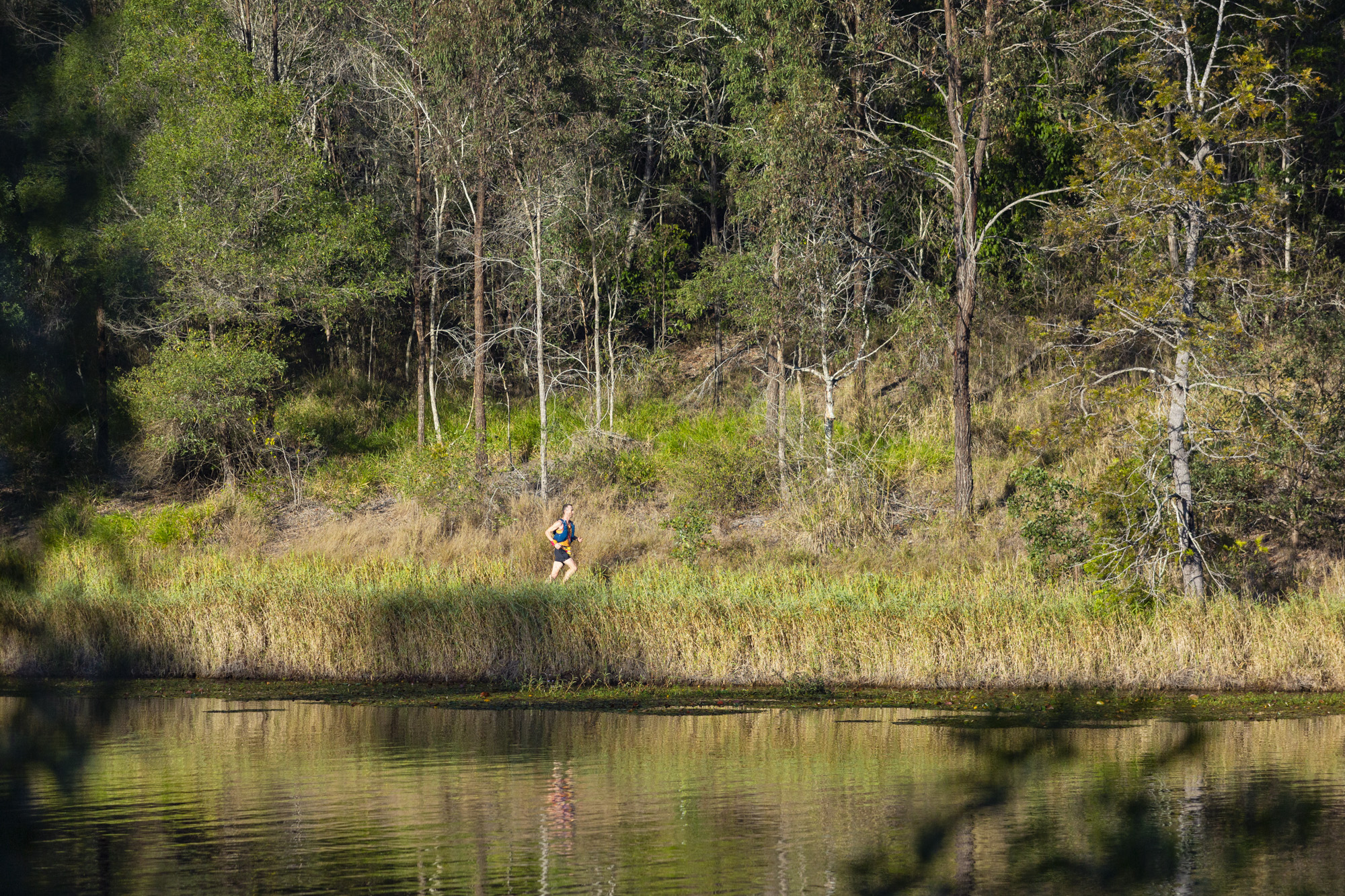 Enoggera Reservoir