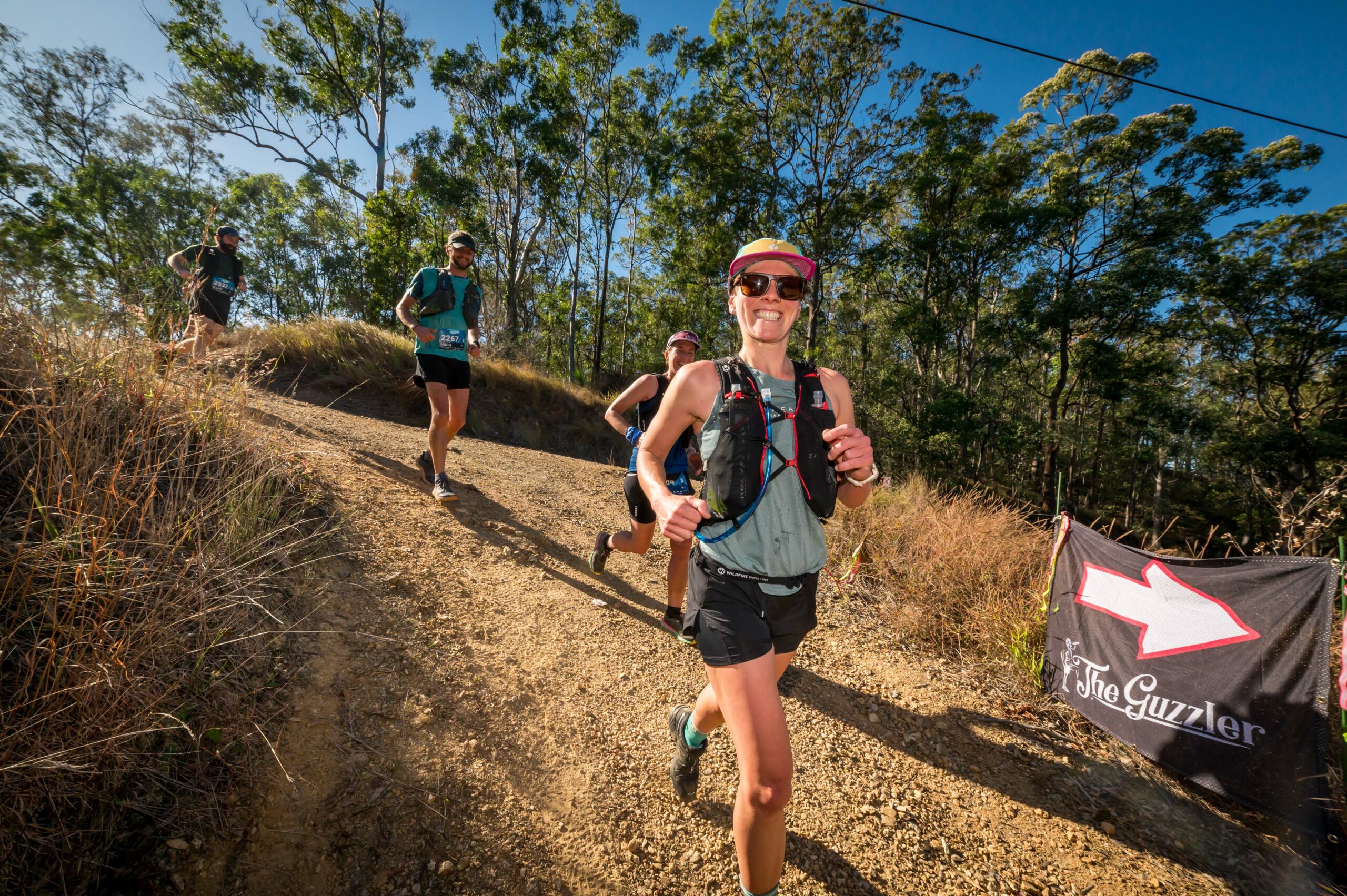 Ladders training loop – Holmans