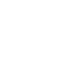 Year 7 Shield